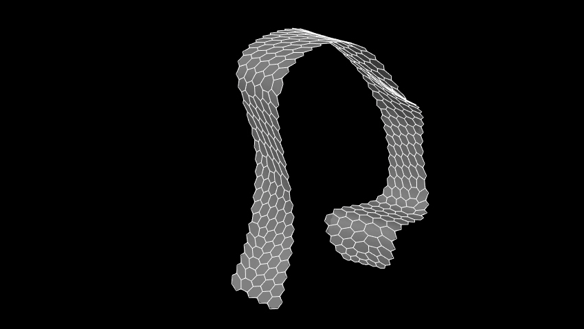 Curvature based tesselation.gif